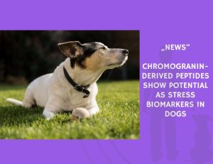 News-Chromogranin-Derived Peptides Show Potential as Stress Biomarkers in Dogs