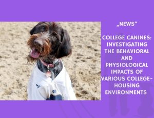 News-College Canines Investigating the Behavioral and Physiological Impacts of Various College-Housing Environments on Companion Dogs
