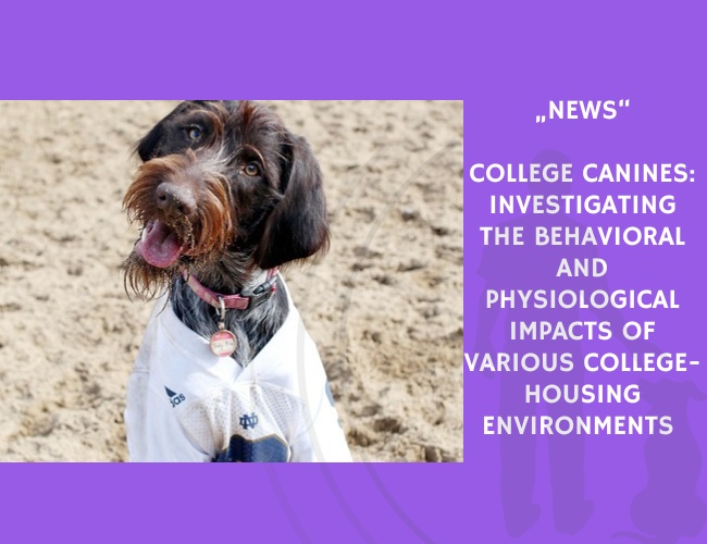 News-College Canines Investigating the Behavioral and Physiological Impacts of Various College-Housing Environments on Companion Dogs