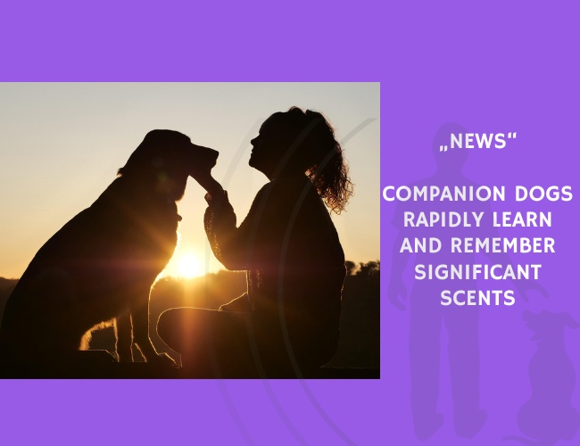News-Companion Dogs Rapidly Learn and Remember Significant Scents