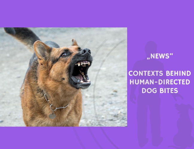 News-Contexts Behind Human-Directed Dog Bites