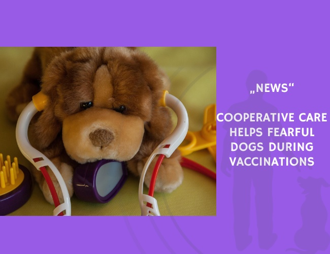 News-Cooperative Care Helps Fearful Dogs During Vaccinations
