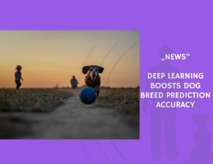 News-Deep Learning Boosts Dog Breed Prediction Accuracy