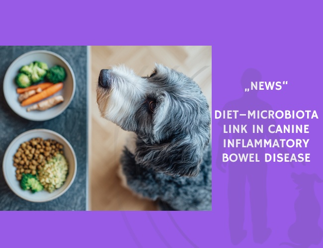 News-Diet–Microbiota Link in Canine Inflammatory Bowel Disease