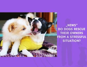 News-Do Dogs Rescue Their Owners from a Stressful Situation