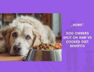 News-Dog Owners Split on Raw vs Cooked Diet Benefits