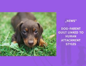News-Dog-Parent Guilt Linked to Human Attachment Styles