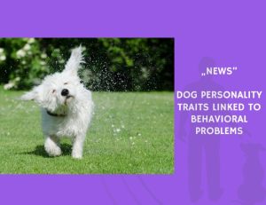 News-Dog Personality Traits Linked to Behavioral Problems