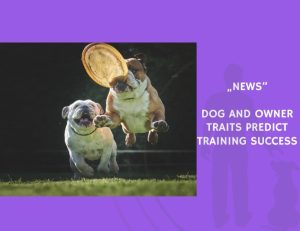 News-Dog and Owner Traits Predict Training Success