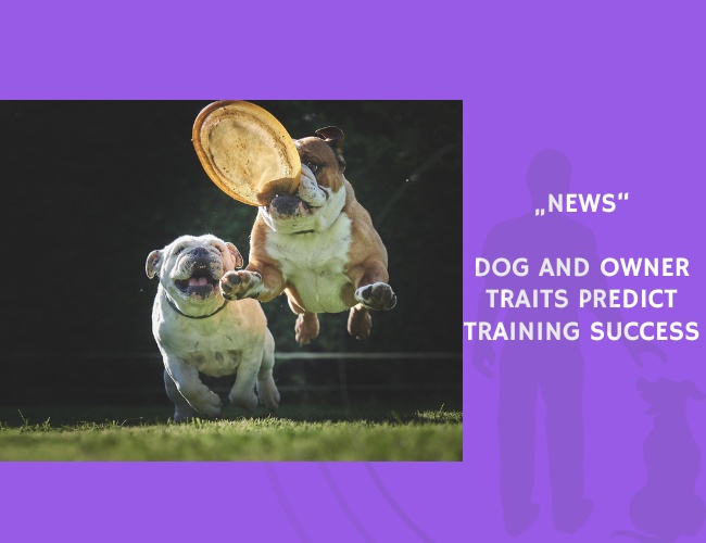 News-Dog and Owner Traits Predict Training Success