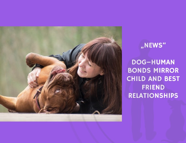 News-Dog–Human Bonds Mirror Child and Best Friend Relationships