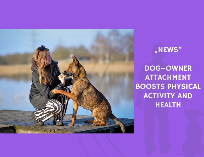 News-Dog–Owner Attachment Boosts Physical Activity and Health