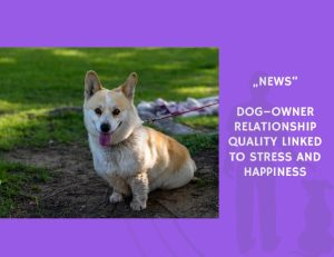 News-Dog–Owner Relationship Quality Linked to Stress and Happiness