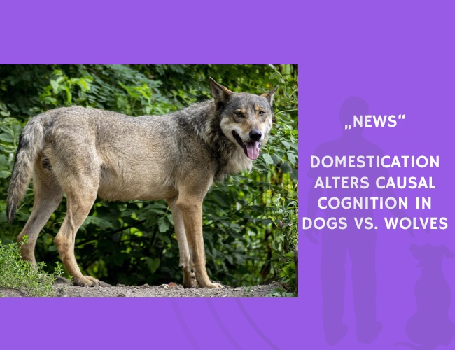 News-Domestication Alters Causal Cognition in Dogs vs. Wolves