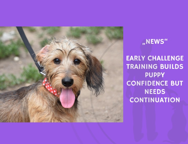 News-Early Challenge Training Builds Puppy Confidence but Needs Continuation
