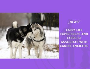 News-Early Life Experiences and Exercise Associate with Canine Anxieties