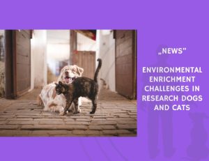 News-Environmental Enrichment Challenges in Research Dogs and Cats