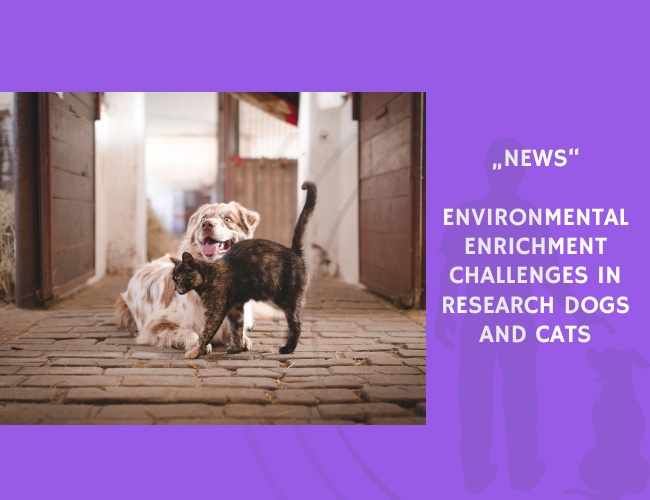 News-Environmental Enrichment Challenges in Research Dogs and Cats