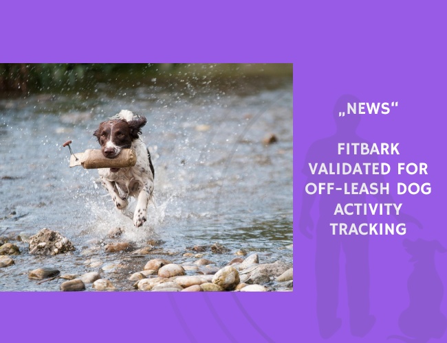 News-FitBark Validated for Off-Leash Dog Activity Tracking