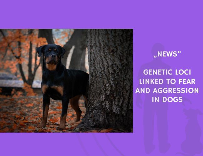 News-Genetic Loci Linked to Fear and Aggression in Dogs