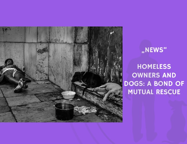 News-Homeless Owners and Dogs A Bond of Mutual Rescue