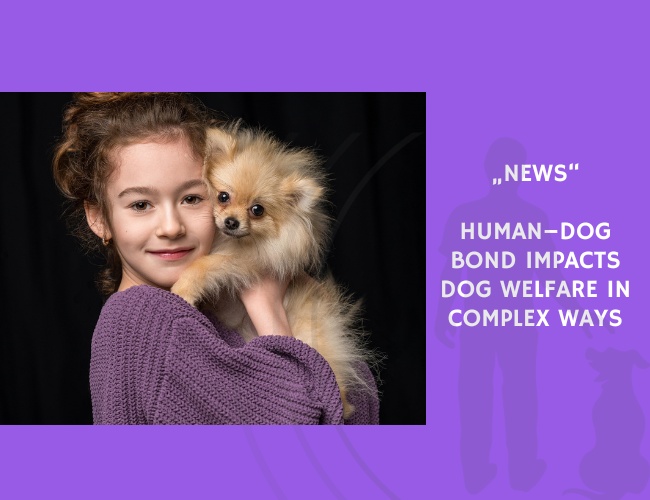 News-Human–Dog Bond Impacts Dog Welfare in Complex Ways