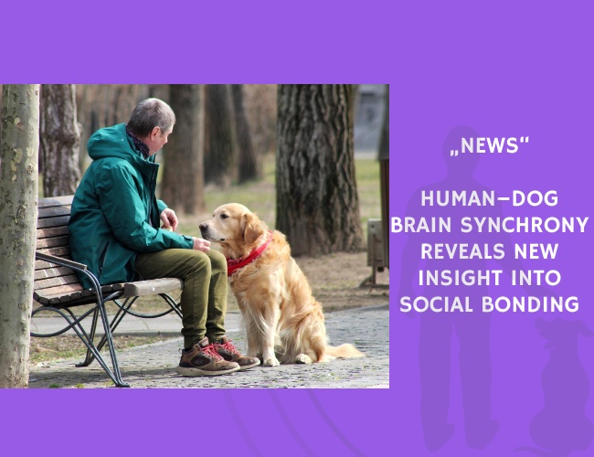 News-Human–Dog Brain Synchrony Reveals New Insight into Social Bonding