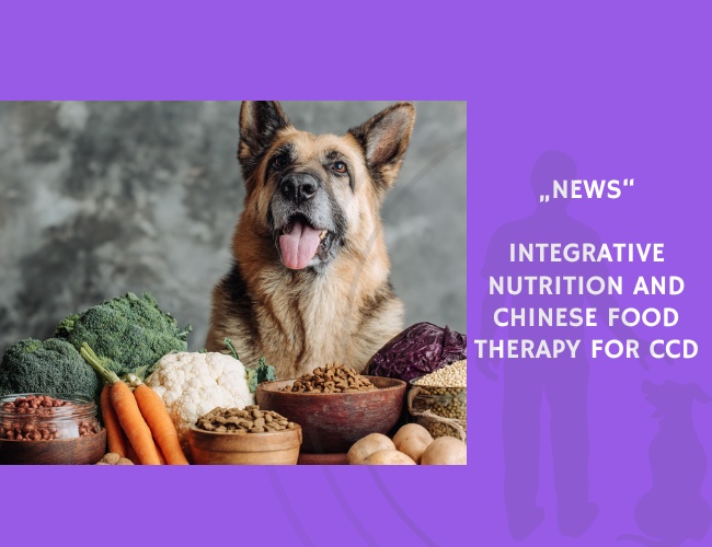 News-Integrative Nutrition and Chinese Food Therapy for CCD