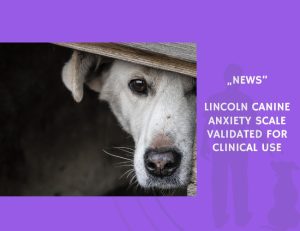 News-Lincoln Canine Anxiety Scale Validated for Clinical Use