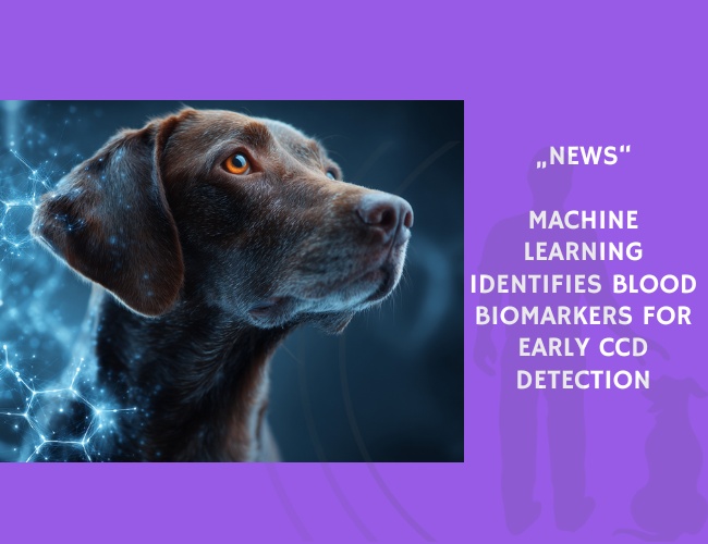 News-Machine Learning Identifies Blood Biomarkers for Early CCD Detection