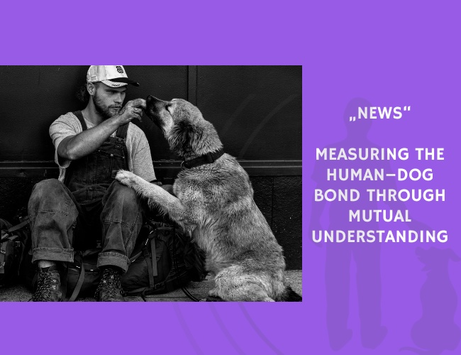 News-Measuring the Human–Dog Bond Through Mutual Understanding