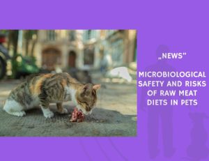 News-Microbiological Safety and Risks of Raw Meat Diets in Pets