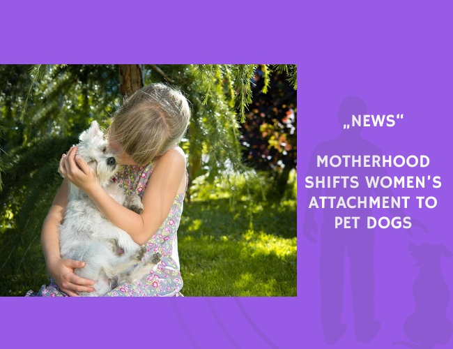 News-Motherhood Shifts Women’s Attachment to Pet Dogs