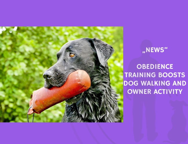 News-Obedience Training Boosts Dog Walking and Owner Activity