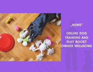 News-Online Dog Training and Play Boost Owner Wellbeing