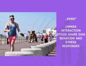 News-Owner Interaction Styles Shape Dog Behavior and Stress Responses
