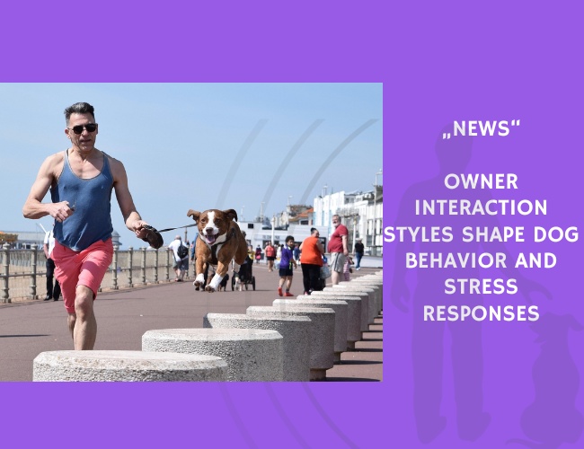 News-Owner Interaction Styles Shape Dog Behavior and Stress Responses