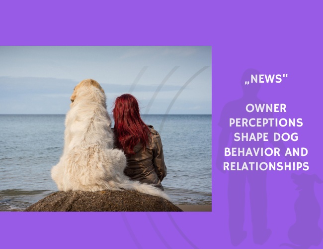 News-Owner Perceptions Shape Dog Behavior and Relationships