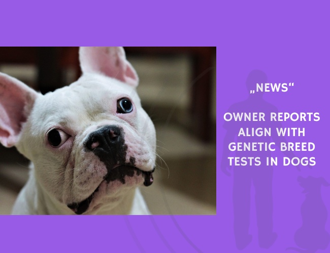 News-Owner Reports Align with Genetic Breed Tests in Dogs