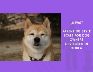 News-Parenting Style Scale for Dog Owners Developed in Korea