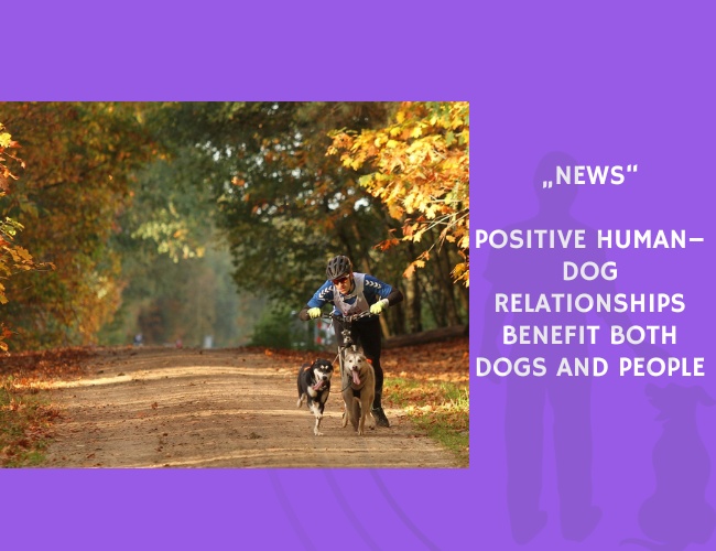 News-Positive Human–Dog Relationships Benefit Both Dogs and People