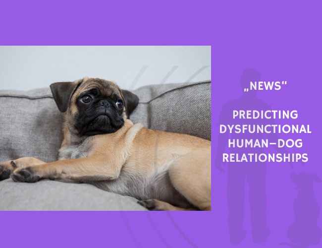 News-Predicting Dysfunctional Human–Dog Relationships