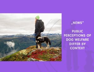News-Public Perceptions of Dog Welfare Differ by Context