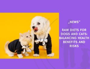 News-Raw Diets for Dogs and Cats Balancing Health Benefits and Risks