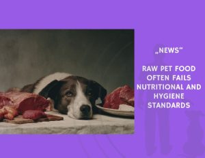 News-Raw Pet Food Often Fails Nutritional and Hygiene Standards