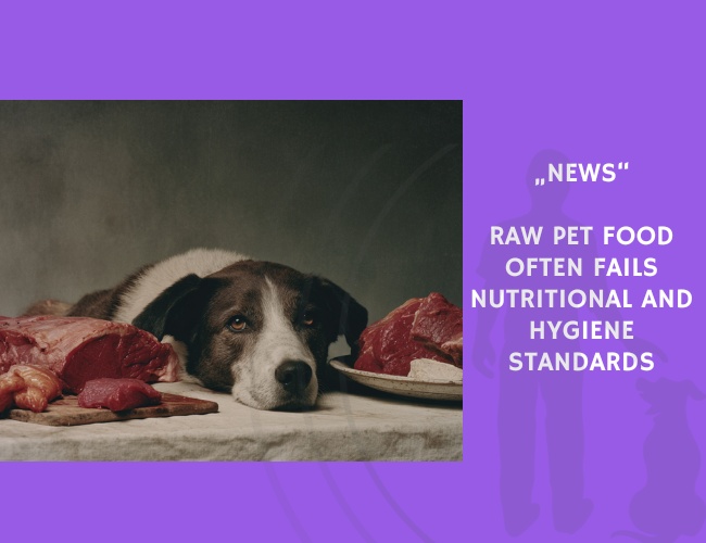 News-Raw Pet Food Often Fails Nutritional and Hygiene Standards