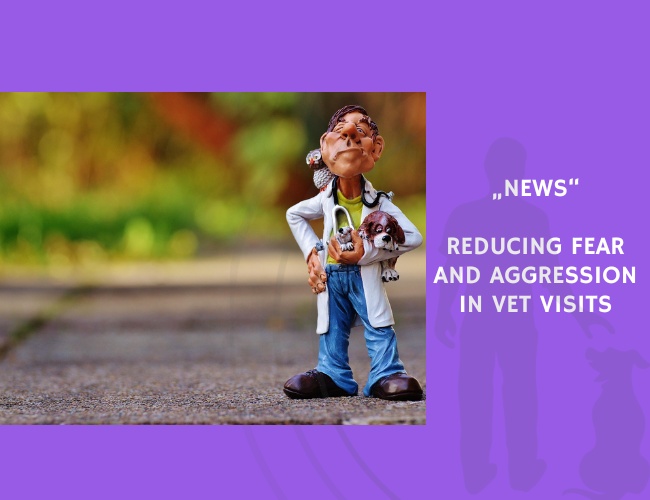 News-Reducing Fear and Aggression in Vet Visits