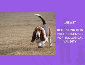 News-Rethinking Dog Breed Research for Ecological Validity