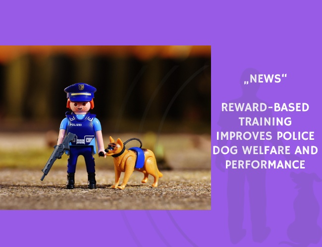 News-Reward-Based Training Improves Police Dog Welfare and Performance