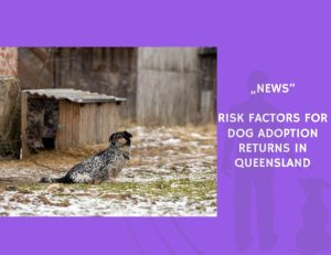 News-Risk Factors for Dog Adoption Returns in Queensland